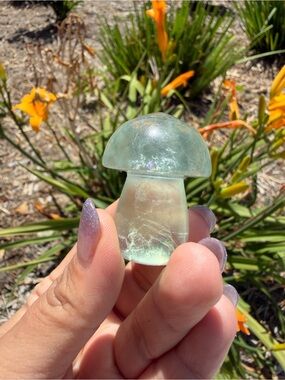 Small Natural Fluorite Mushroom Carving,Hand Carved Crystal Mushroom,A560